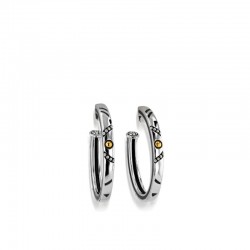 Solar Oval Hoop Earrings