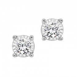 Lady's 14KW Gold Stud Earrings