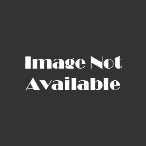 14K White Gold Gold 0.73Mm Box Chain With Lobster Claw Clasp - 20