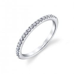14K White Gold Diamond Band Fishtail .18ct tw 20 Round Diamonds F